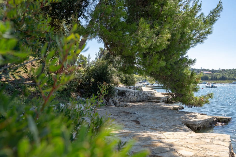Miscellaneous