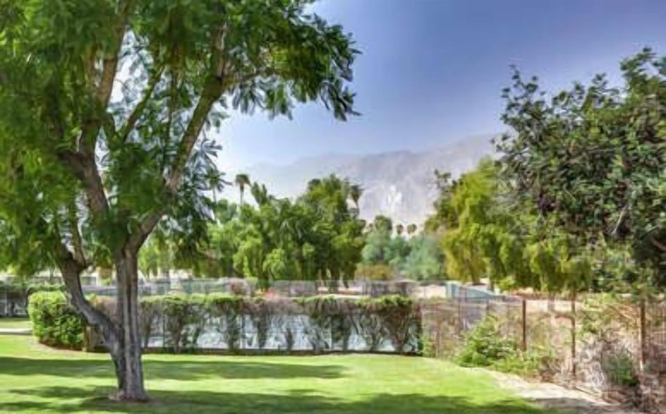 Mature Trees in Park Like Setting