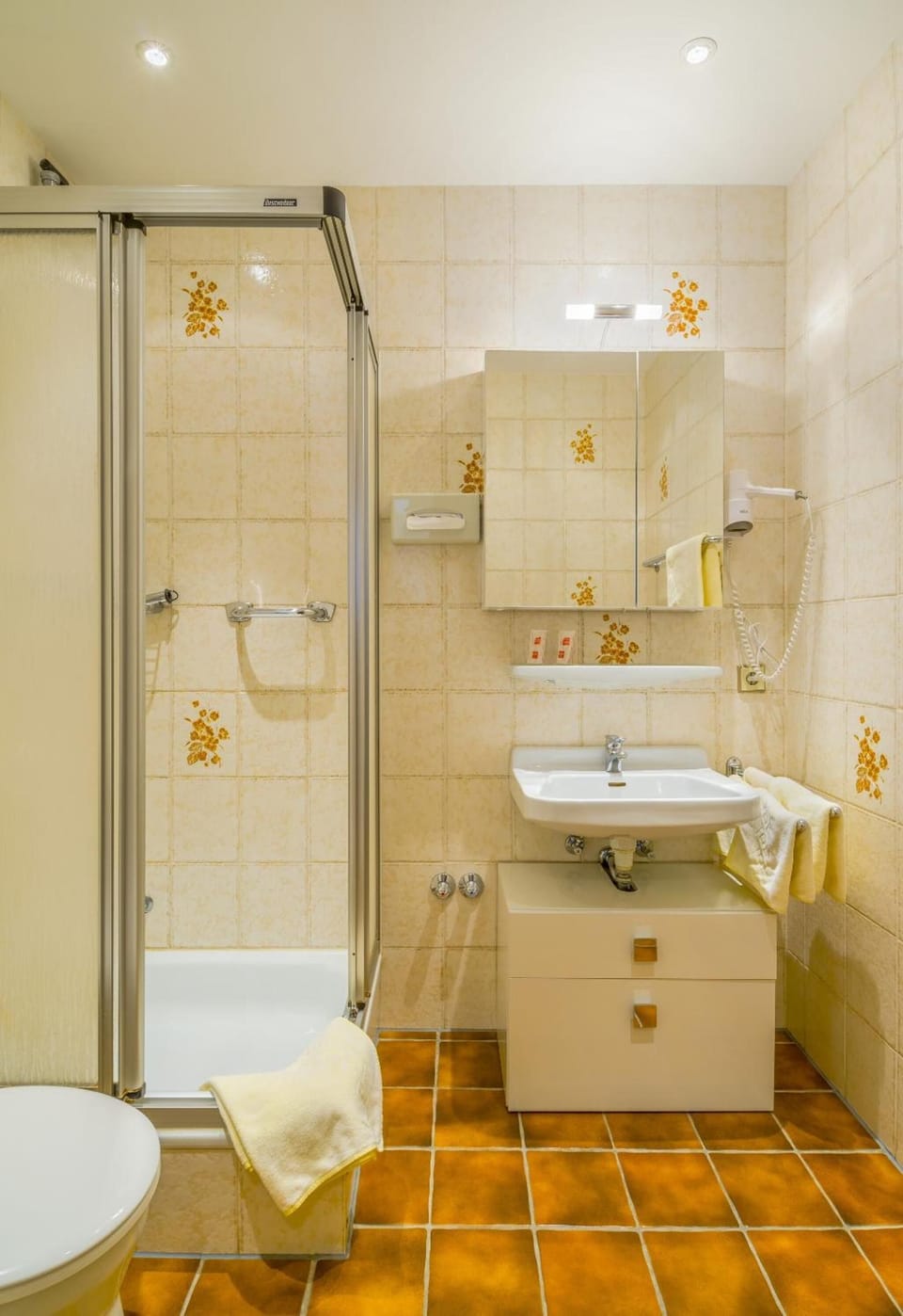 Shower, free toiletries, hair dryer, towels