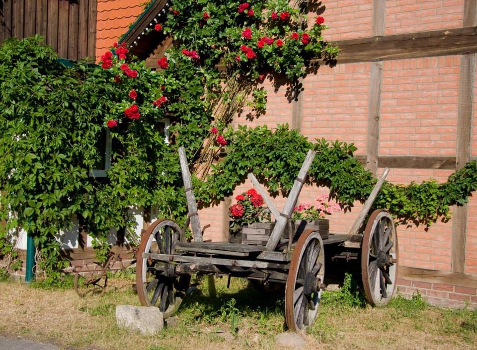 Hotel Altes Zollhaus Hotel in Mecklenburgische Seenplatte