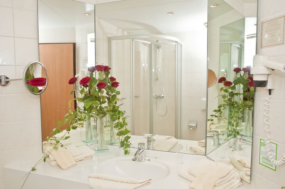 Free toiletries, hair dryer, slippers, towels