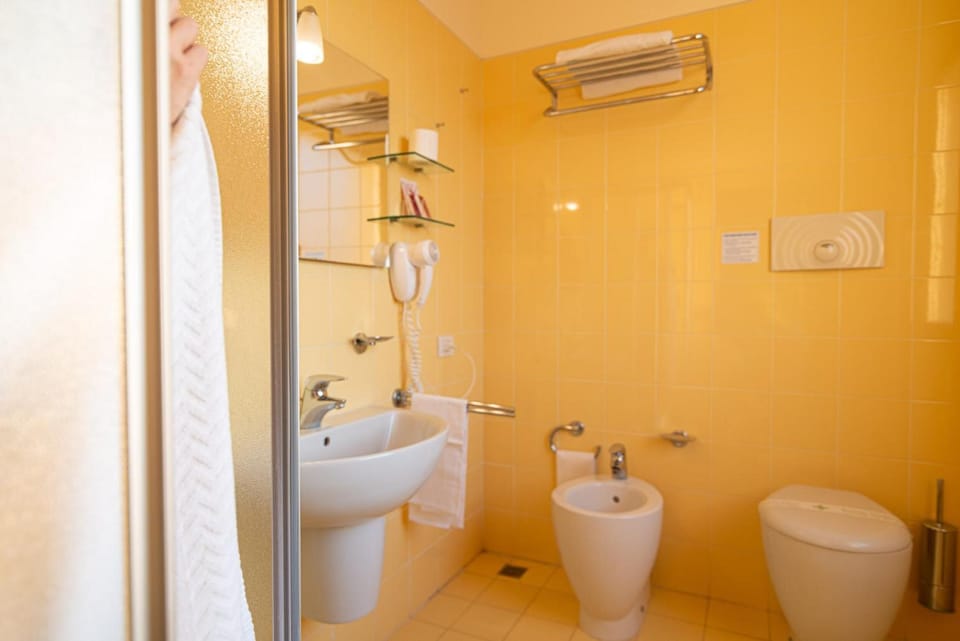 Shower, free toiletries, hair dryer, bidet