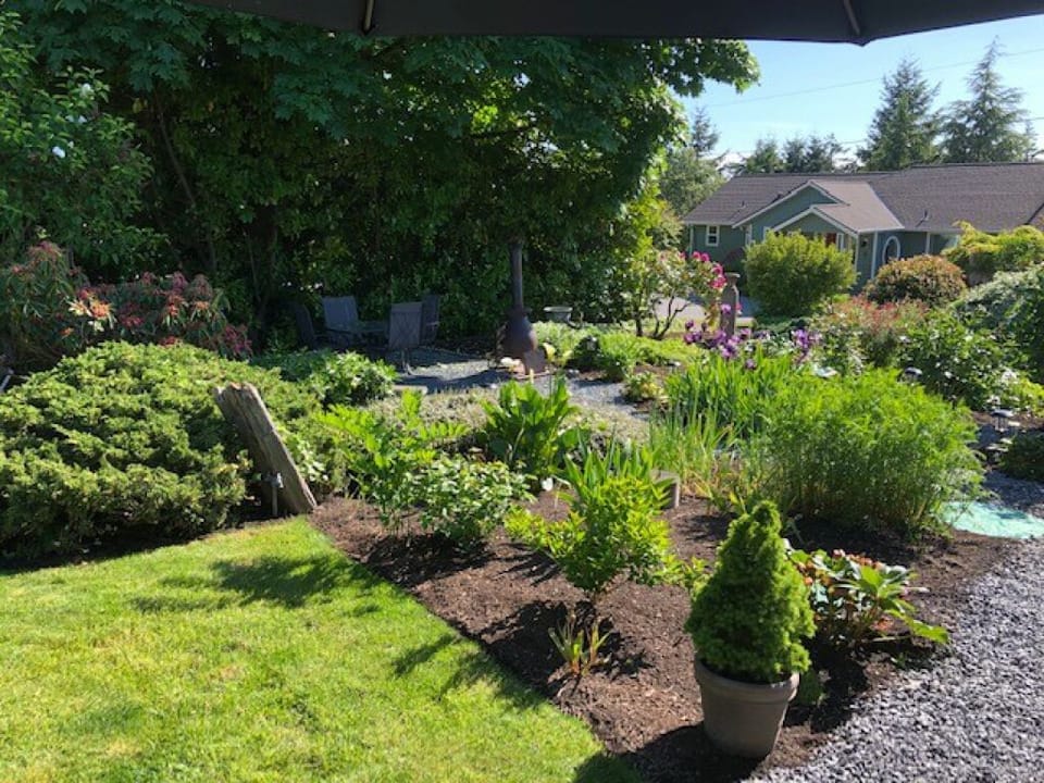 Beautiful yard to relax in 