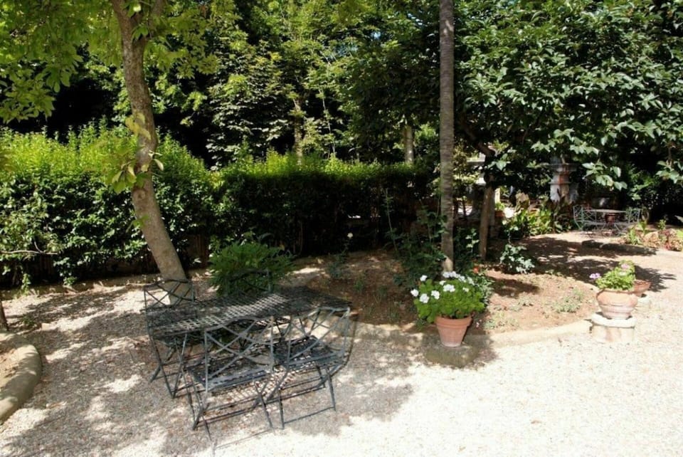 Plant, Plant Community, Vegetation, Tree, Flowerpot, Woody Plant, Outdoor Furniture, Shade, Groundcover, Shrub