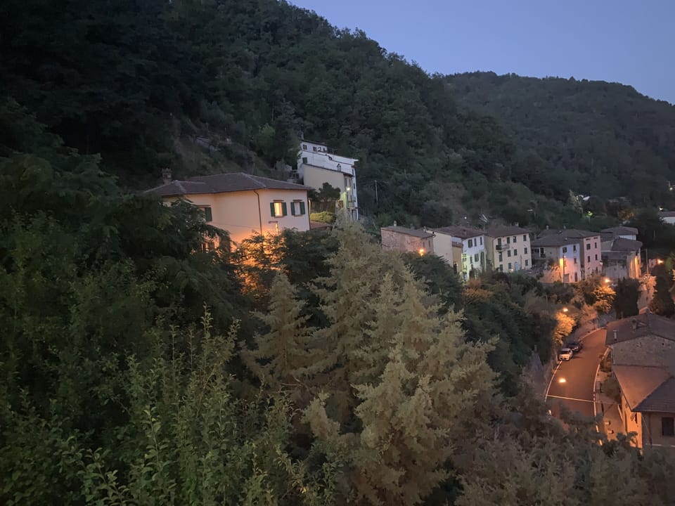 View from terrace