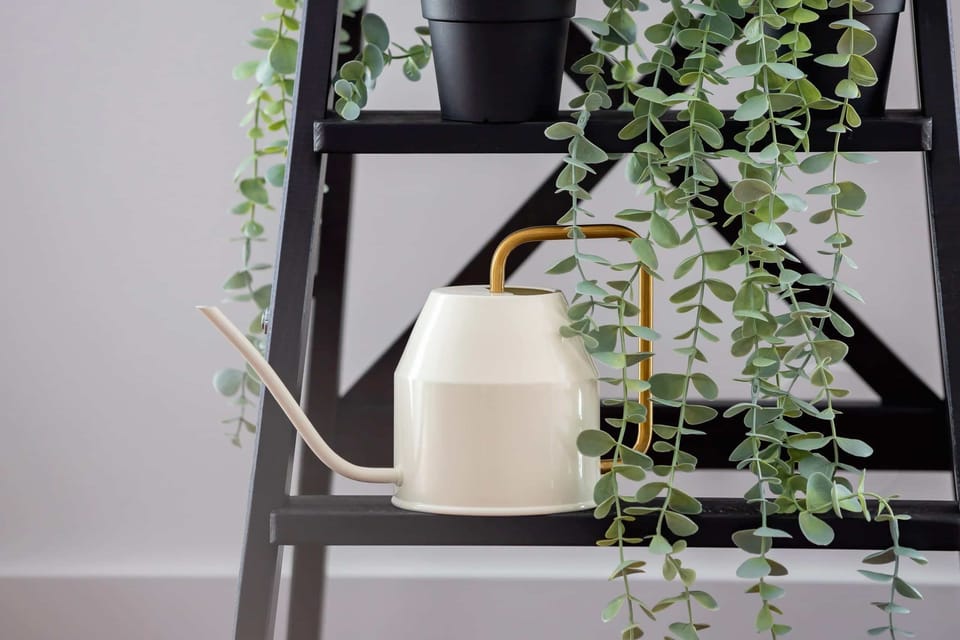 A close-up of a shelf with a decorative plant and candle, creating a simple, modern decor vibe.