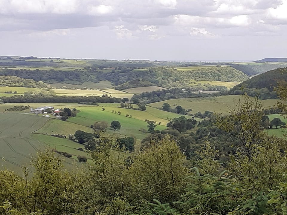 Surrounding area | Hillcrest Cottage, Broxa near Scarborough