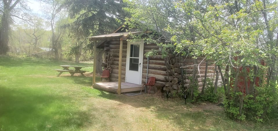 Exterior of cabin and Picknic Table