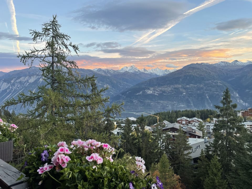 View from property