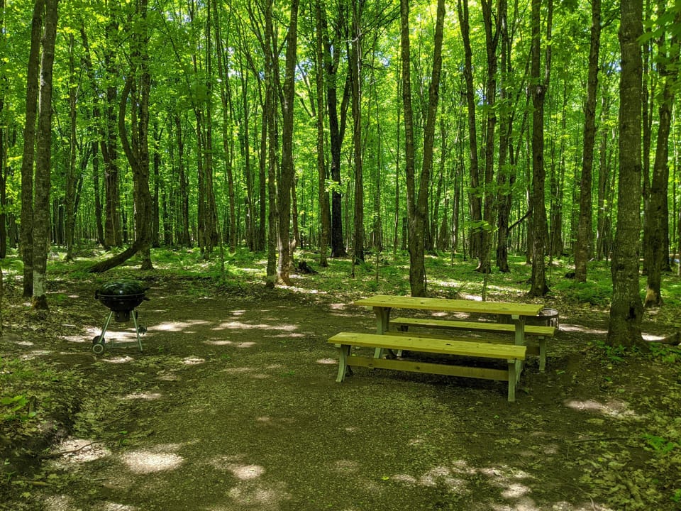 Campsite 5 Amenities