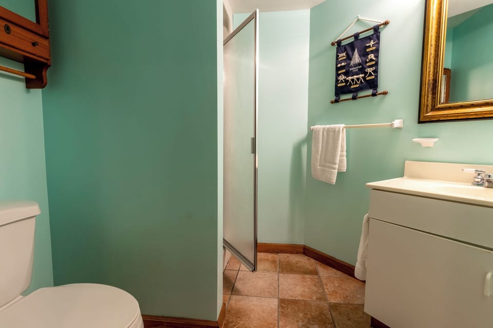 Basement | Bath 2 | Standalone with Walk in Shower