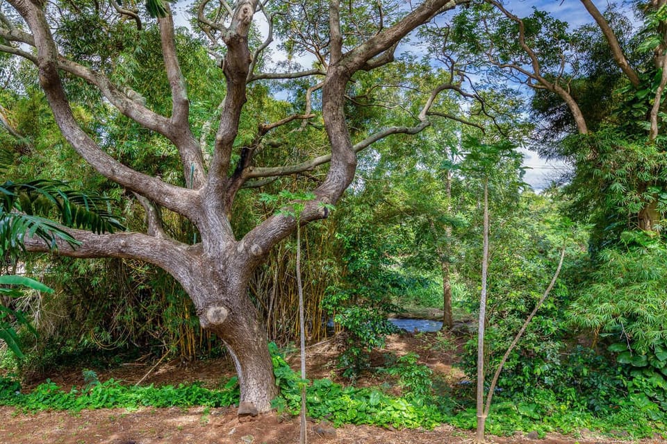 A bamboo forest, brightly colored flowers, and a waterfall spilling into a serene pond where multi-colored koi swim are all waiting to be discovered on the property surrounding unit 121.