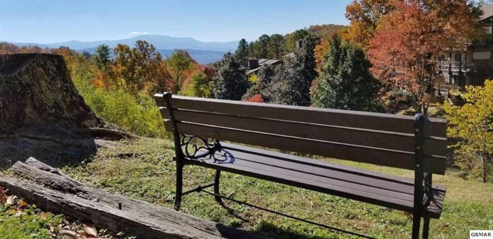 Incredible fall colors set on English Mountain