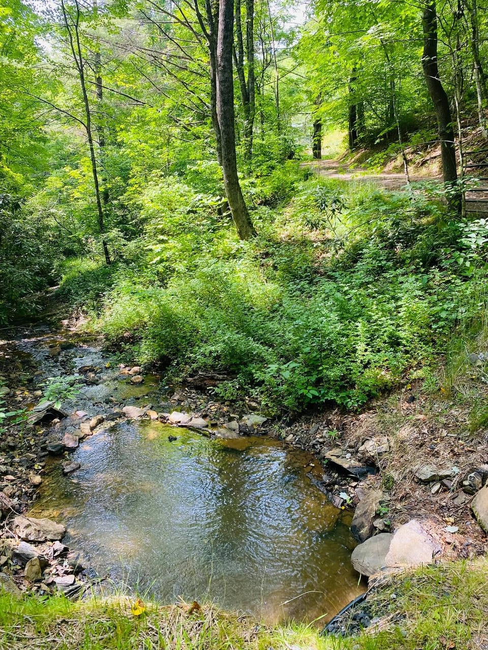 Creek