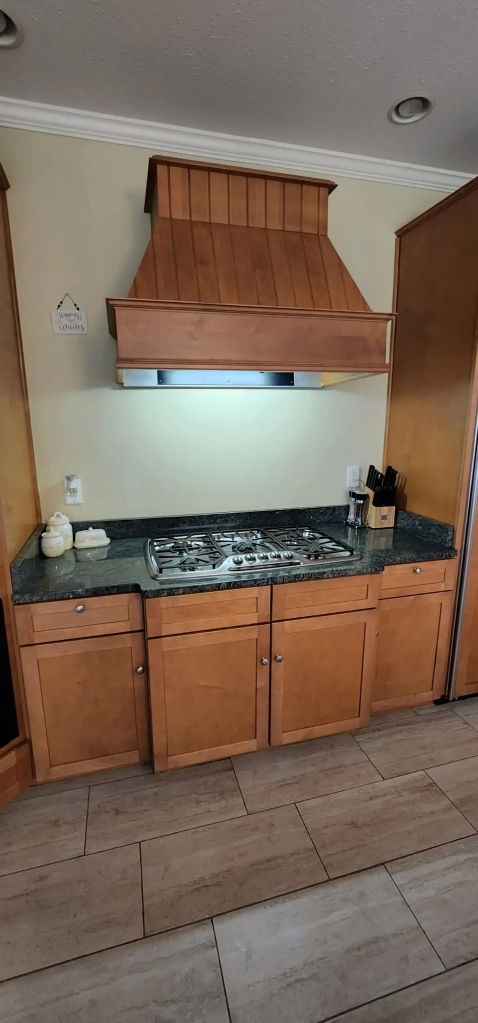 Gas Stove