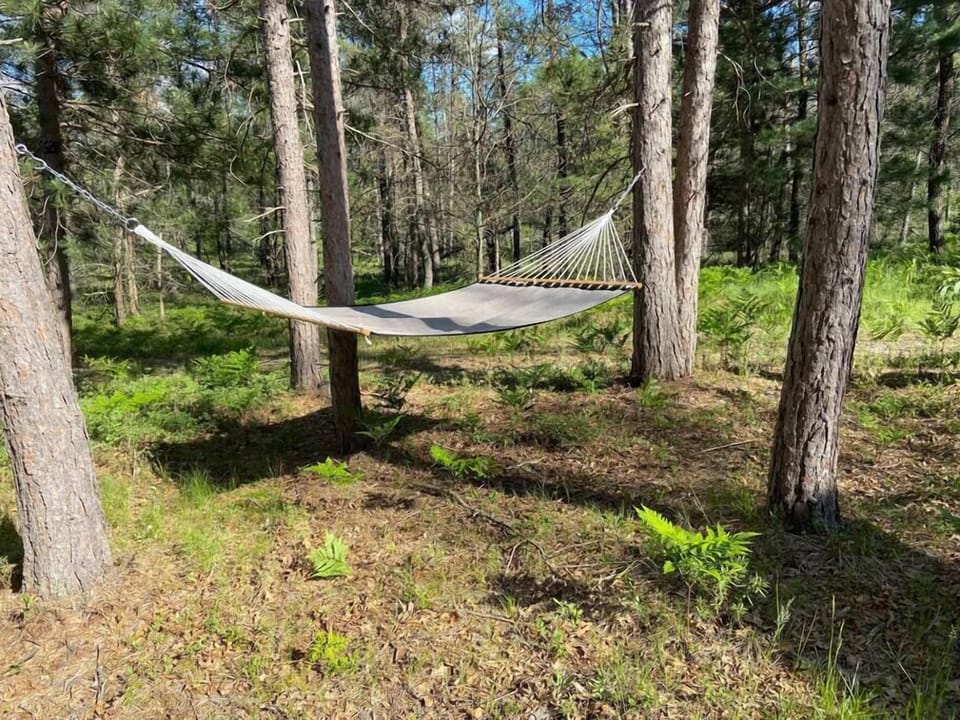 Hammock