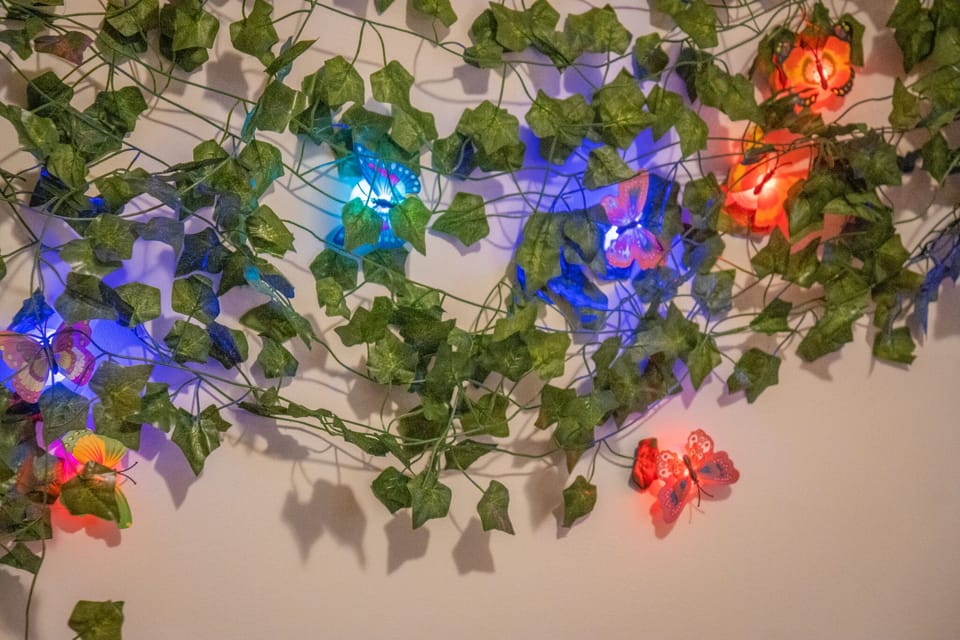Wall decoration (the butterflies light up) in the downstairs bedroom