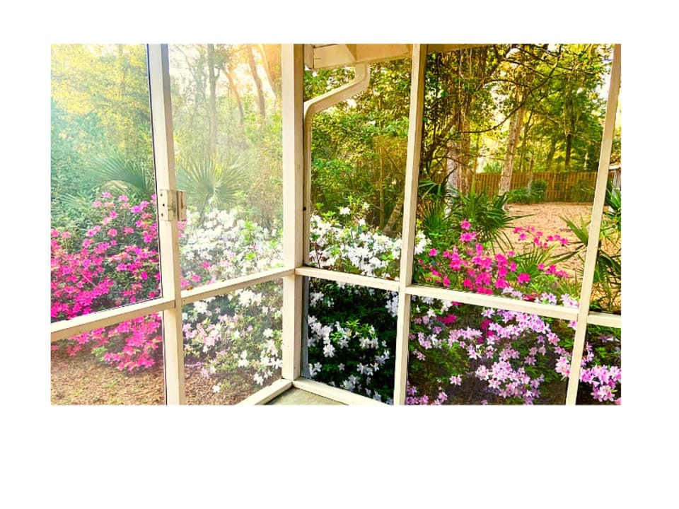 View from large screen porch
