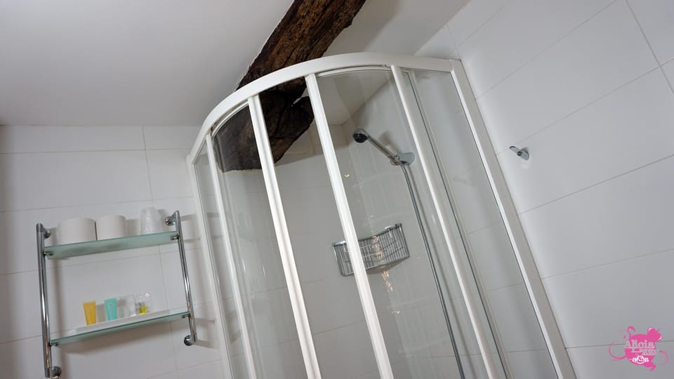 Single Room | Bathroom | Shower, free toiletries, hair dryer, towels