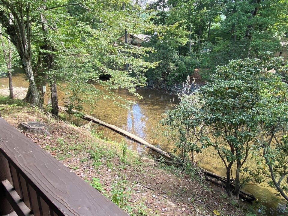 Beautiful river view.