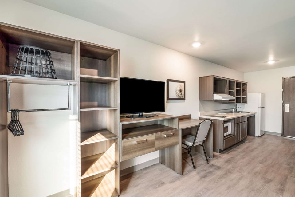 Full-size fridge, microwave, stovetop, freezer