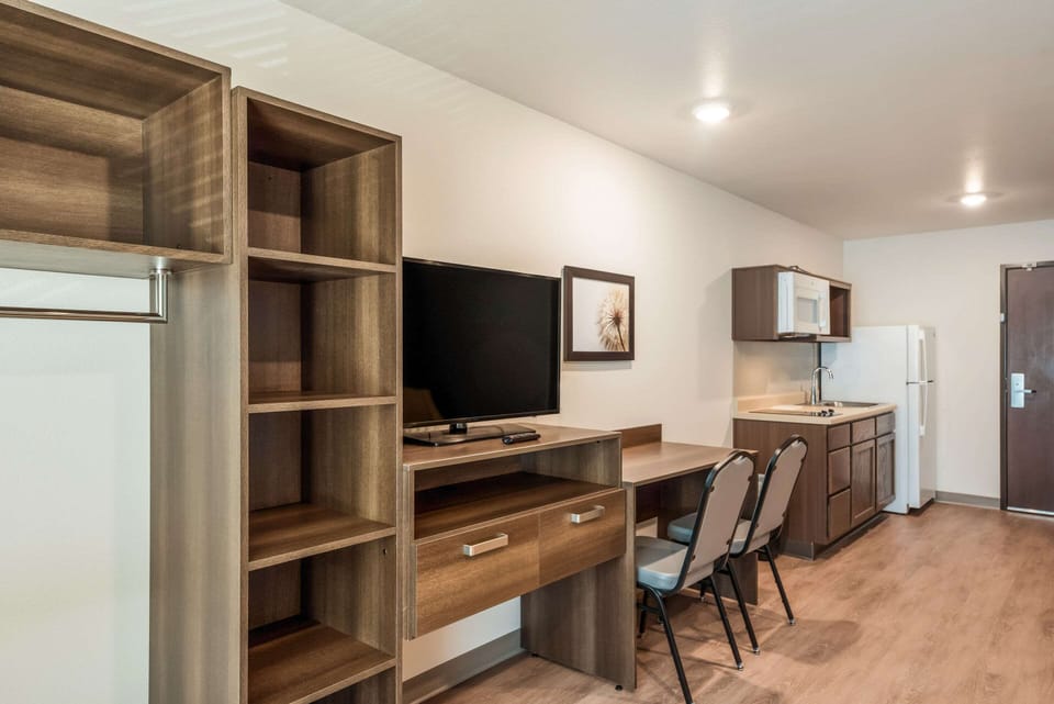 Full-size fridge, microwave, stovetop, freezer