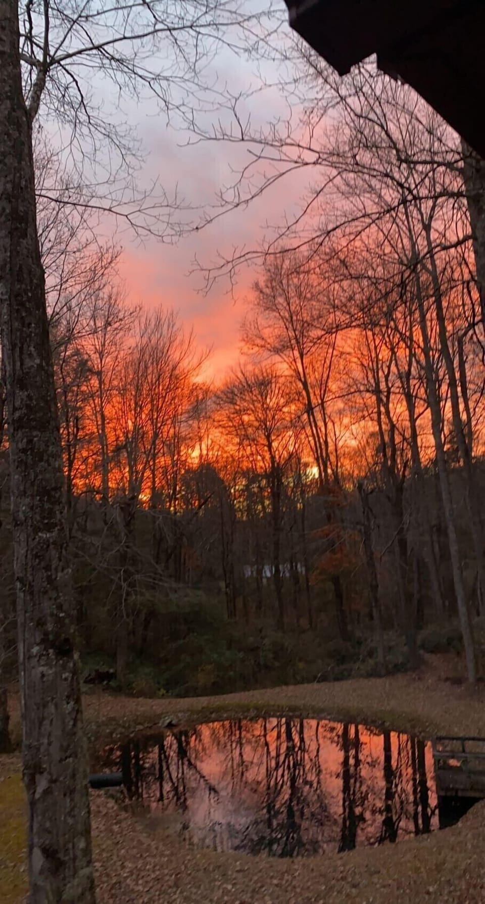 Sunset from the Treehouse 