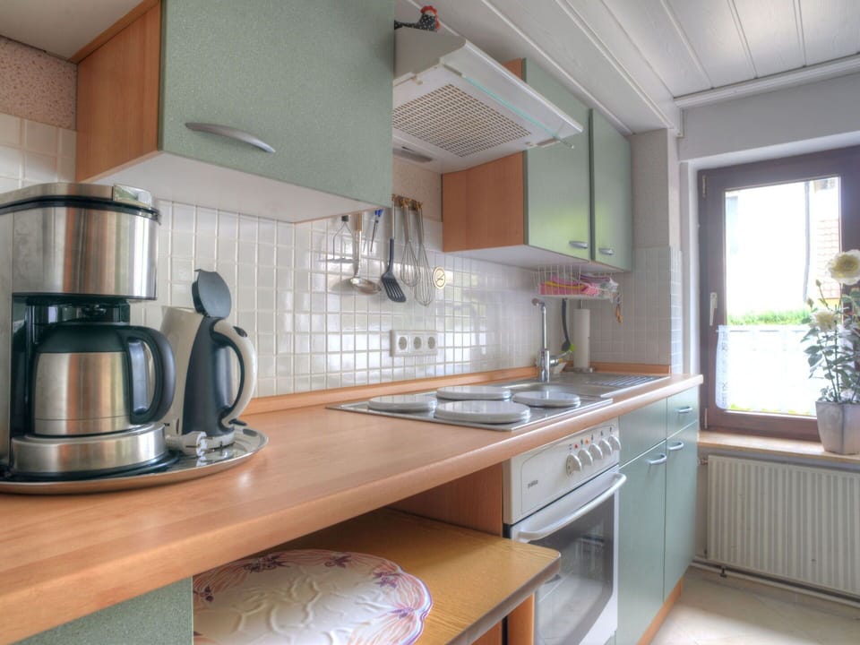 Plant, Countertop, Property, Kitchen Sink, Cabinetry, Sink, Houseplant, Kitchen Appliance, Window, Kitchen Stove