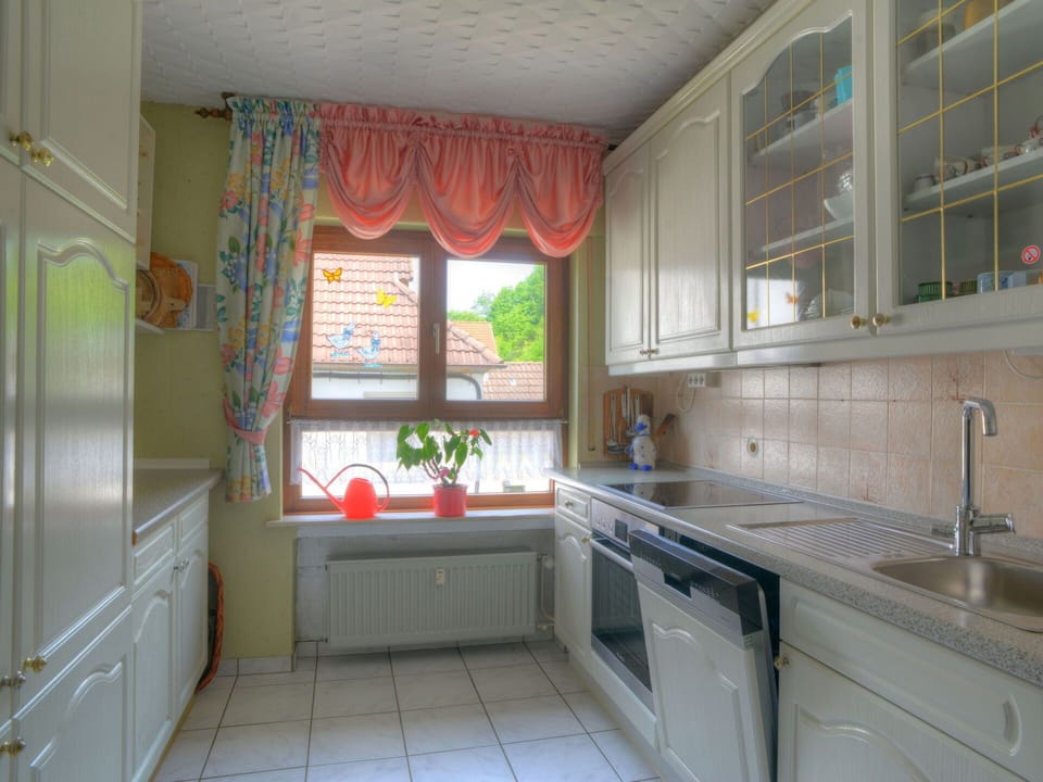 Cabinetry, Kitchen Sink, Sink, Property, Countertop, Building, Tap, Window, Kitchen, Plant