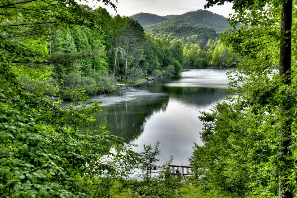View from the deck of this amazing pet-friendly cabin rental in North GA
