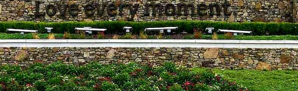Dollywood