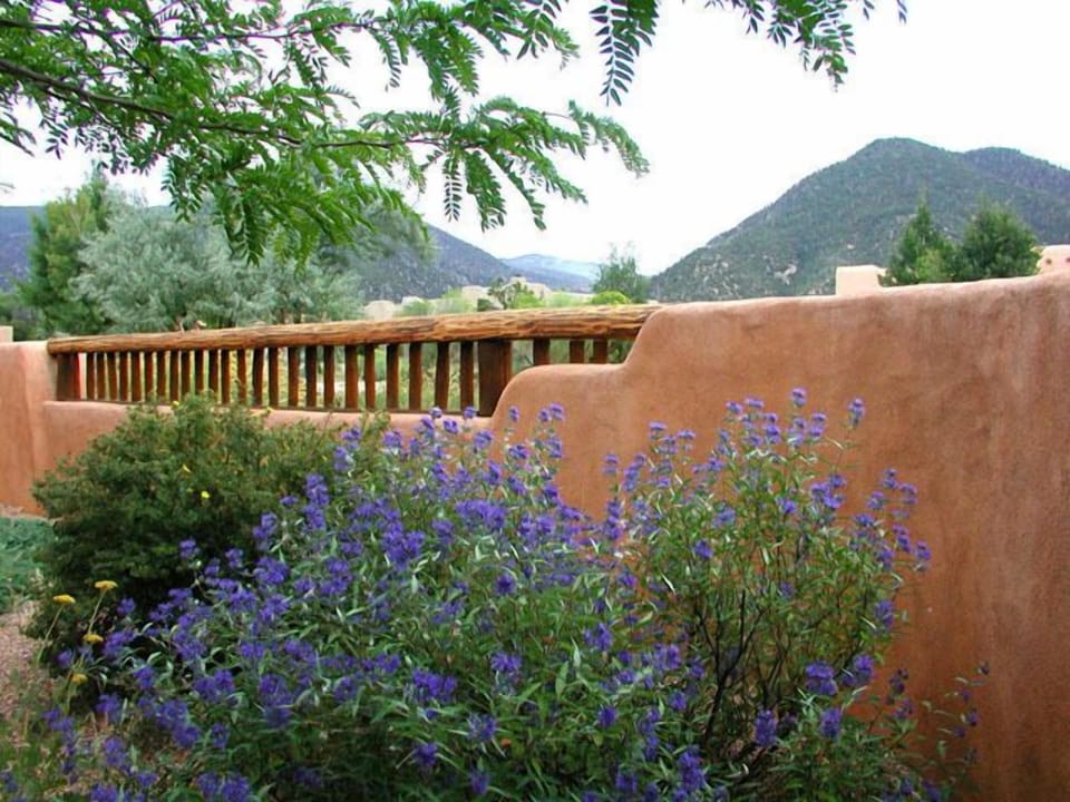 View to Taos Mountain from adobe privacy wall wall front patio