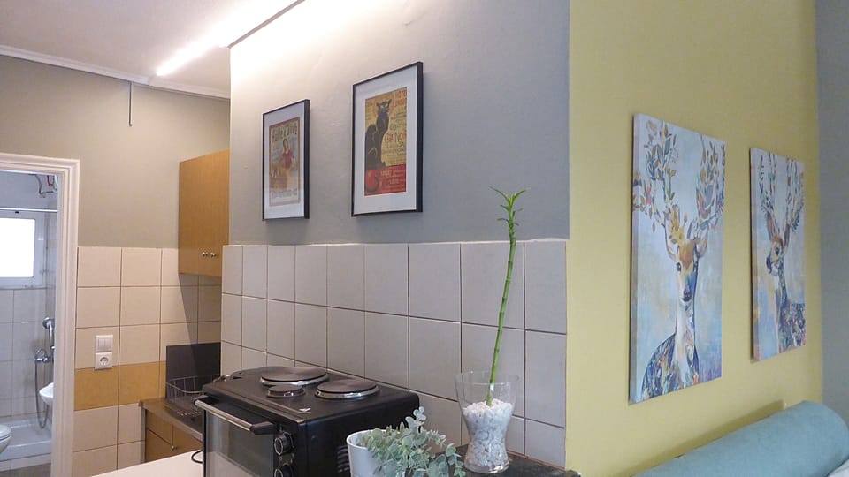 Double Room | Private kitchen | Full-size fridge, oven, stovetop, electric kettle