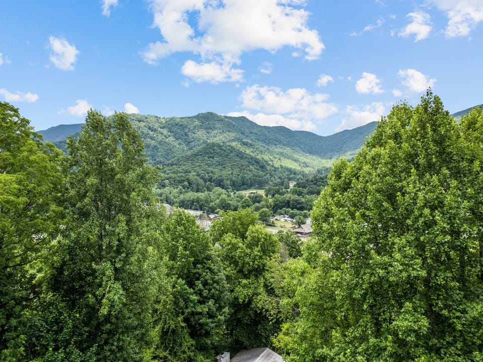 Located just above the MV Fairgrounds; close to shops/restaurants/views!