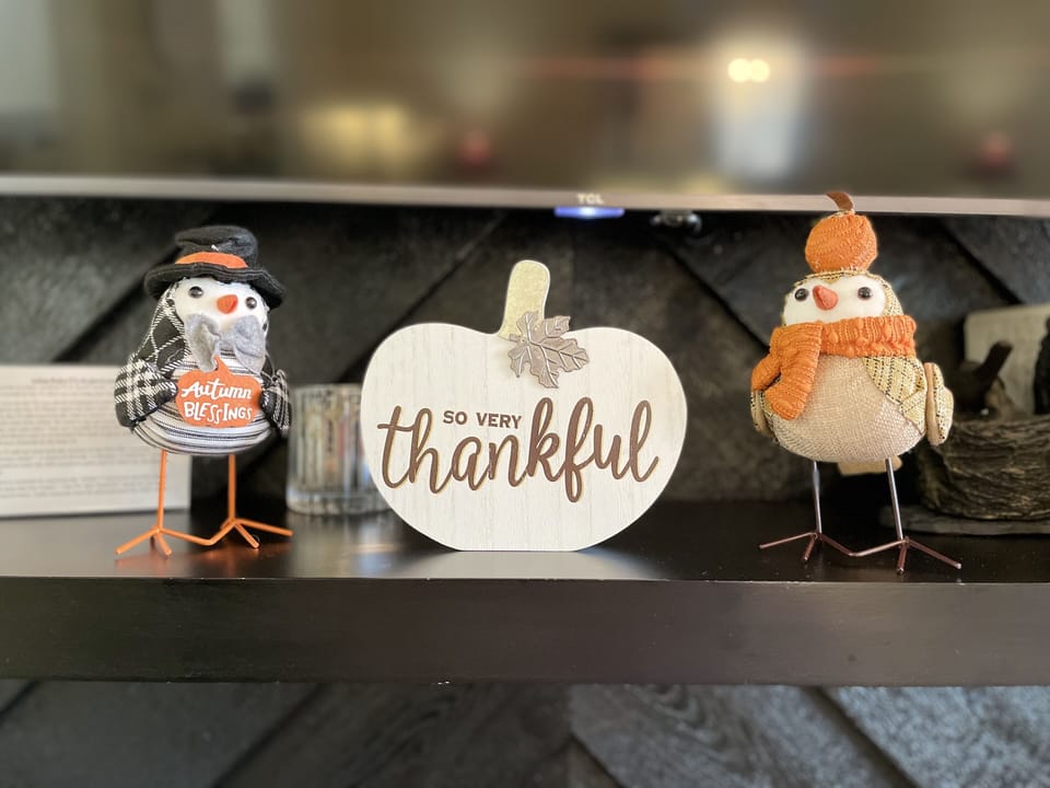 I think these birds look very dapper, don't you?