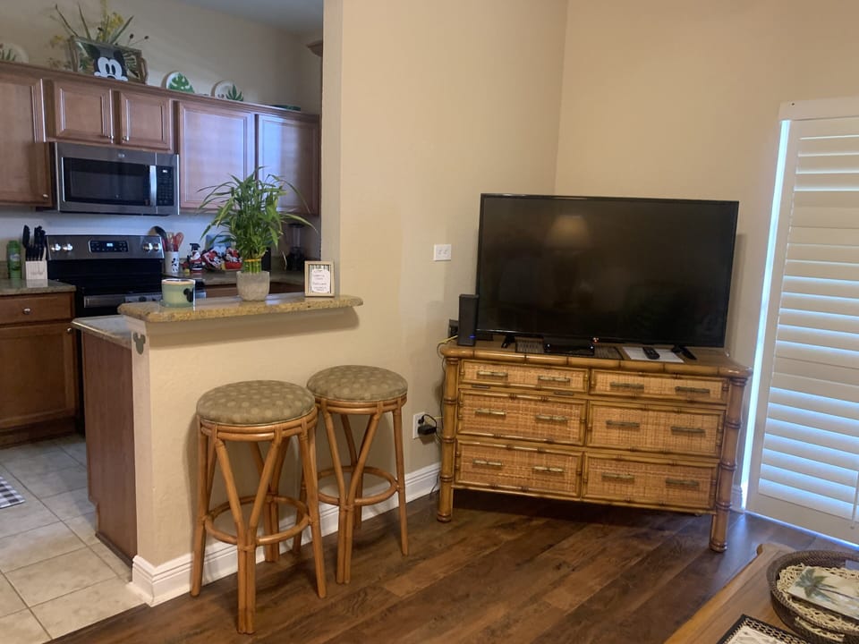 LR Big Screen TV