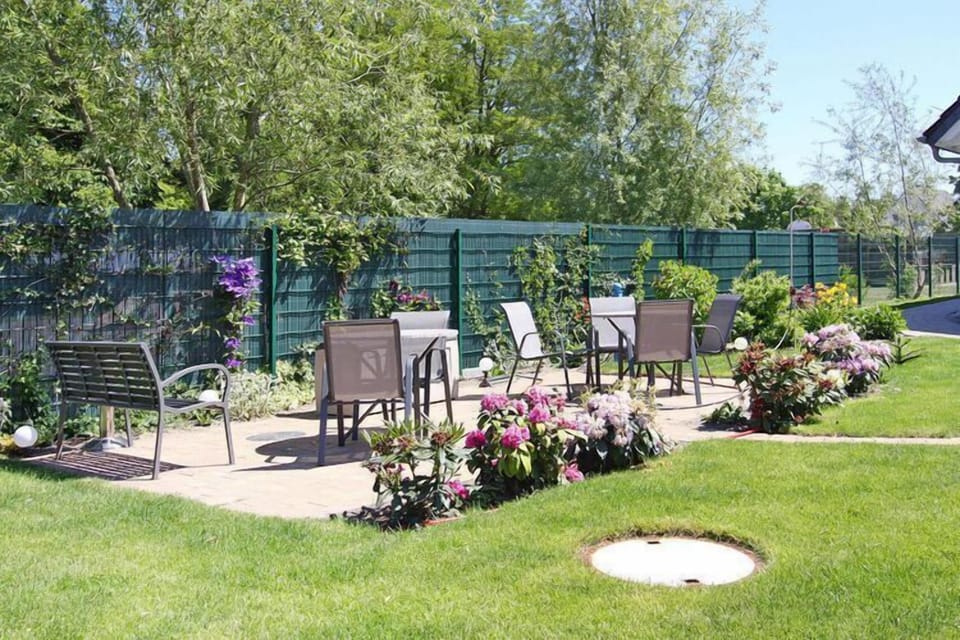 Garden [summer]