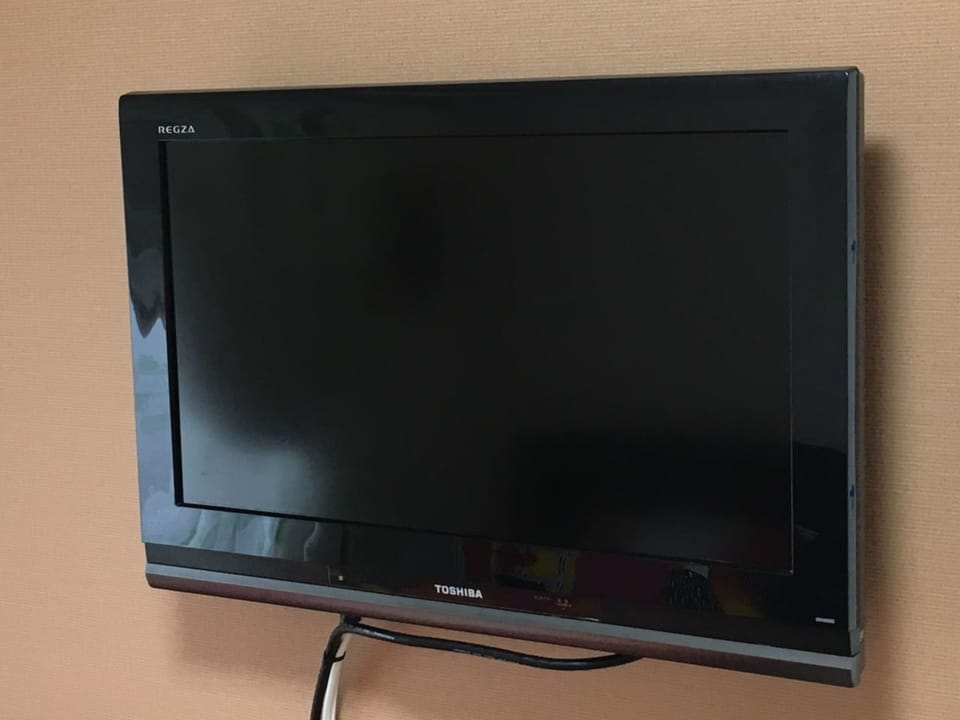 Basic Room, Non Smoking | Television