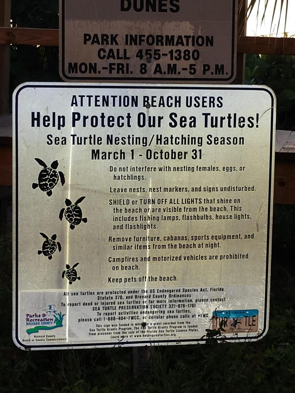 Please be nice to our neighbors ! you'll frequently see them during nesting  