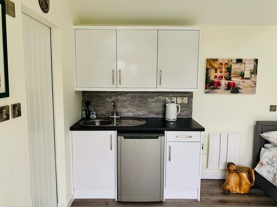Studio | Private kitchen | Fridge, microwave, stovetop, coffee/tea maker