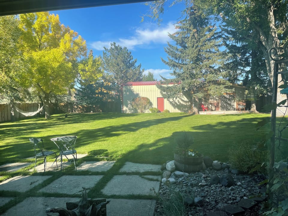 Window View