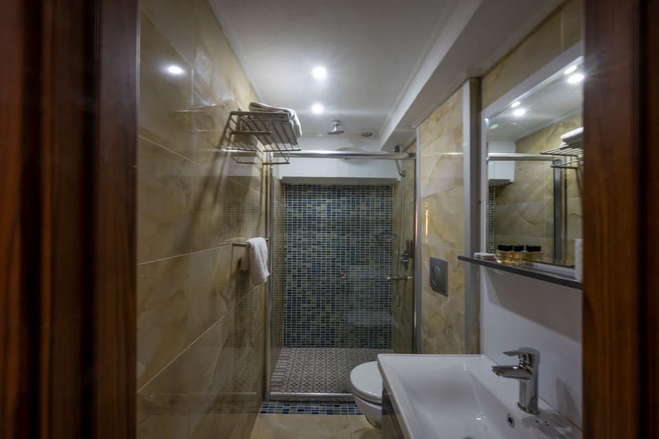 Shower, free toiletries, hair dryer, towels
