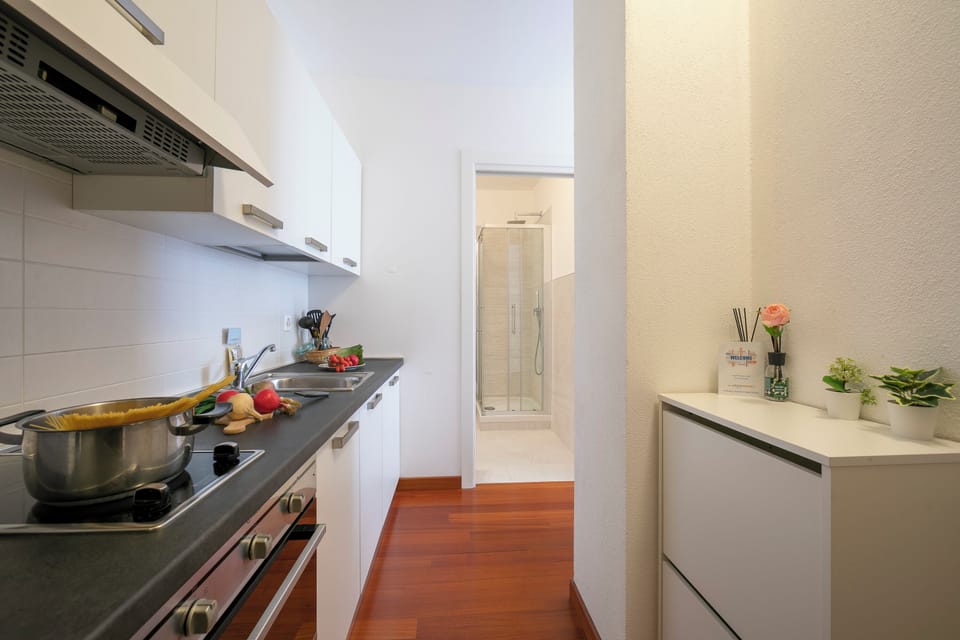 Fridge, oven, stovetop, dishwasher
