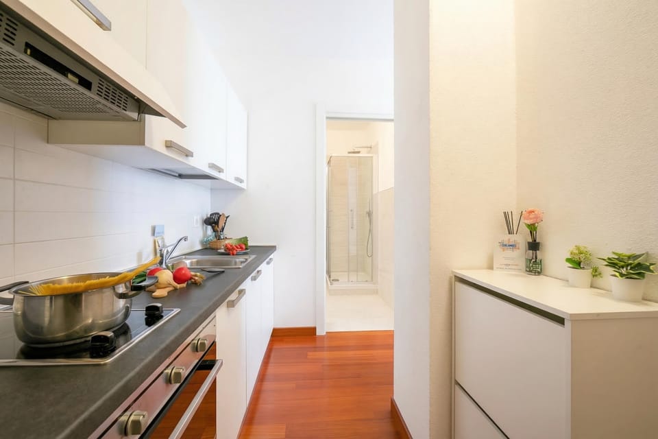 Standard Studio (Moonlight - 150m from the lake) | Private kitchen | Fridge, oven, stovetop, dishwasher