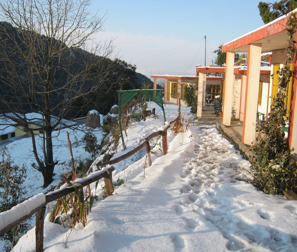 Room, 1 Bedroom, Smoking, Patio | Property grounds