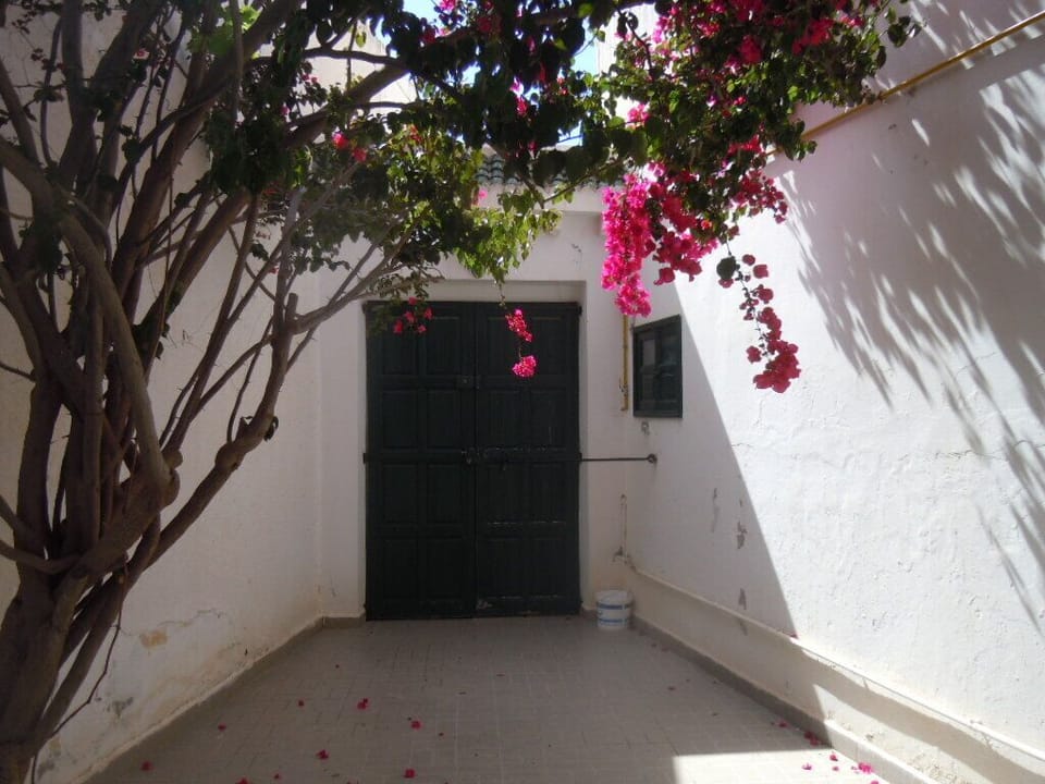 House, 3 Bedrooms, Accessible, Smoking | Garden