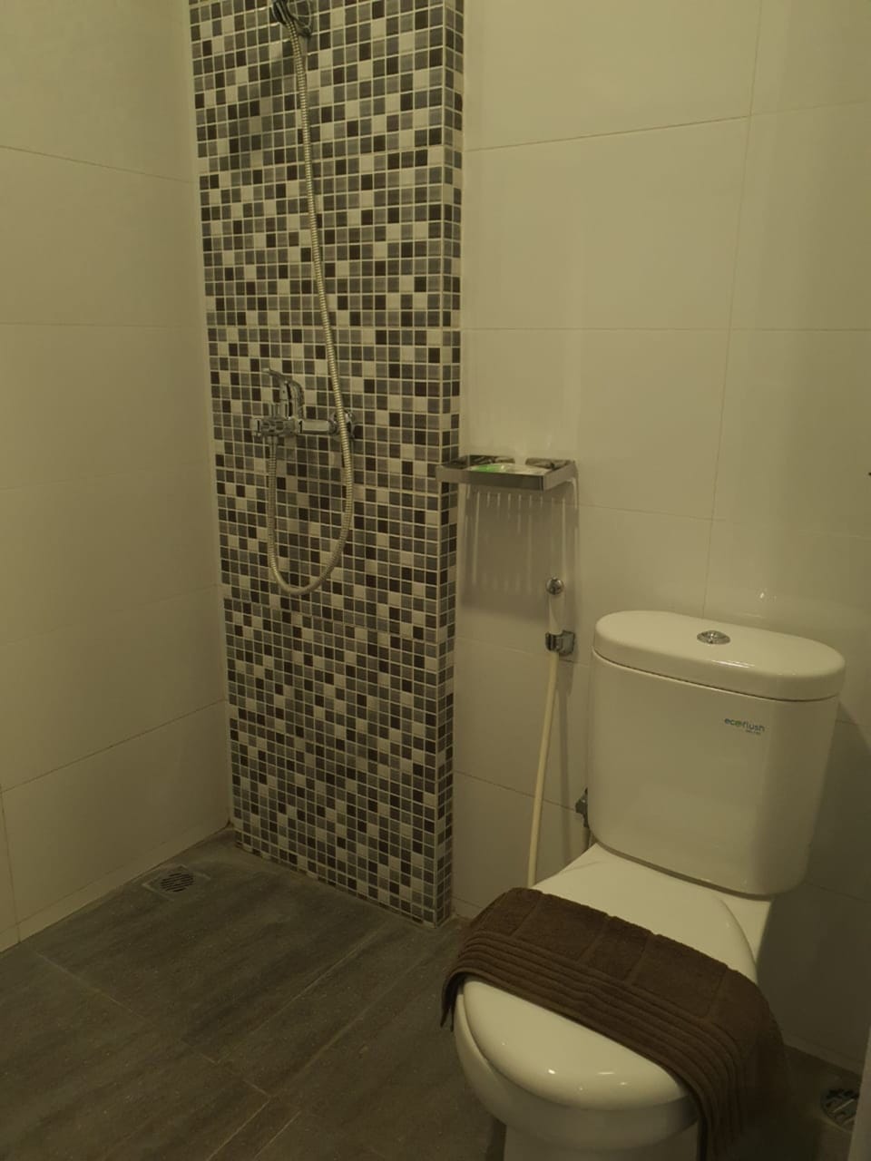 Shower, towels