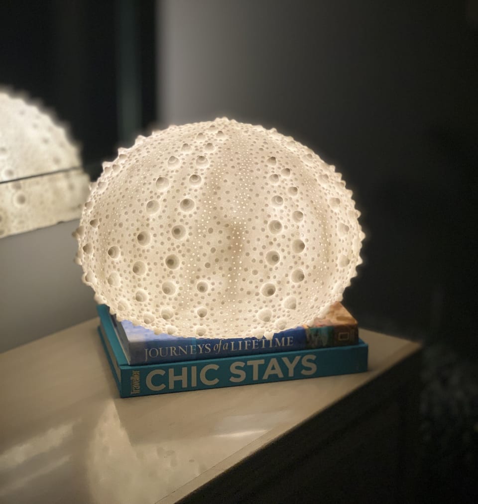 Sea Urchin Lamps in both primary and secondary bedrooms.