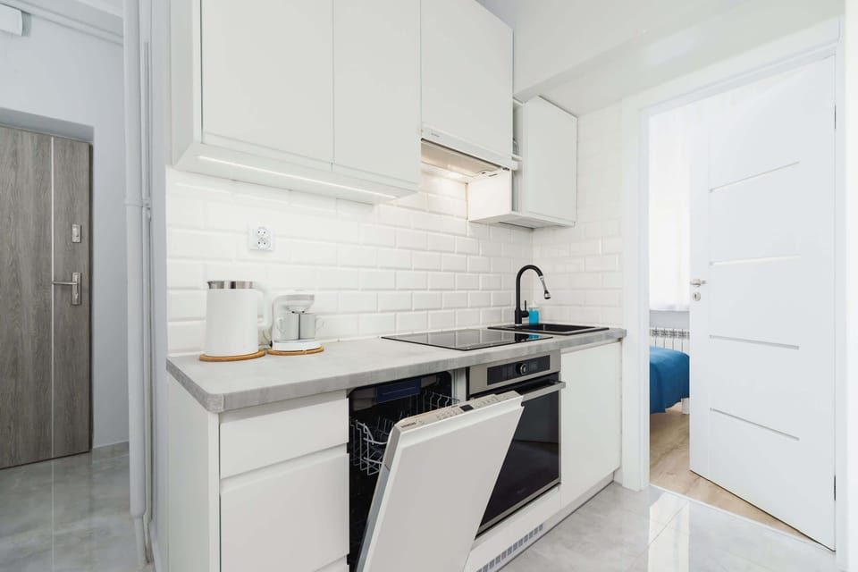 Kitchenette with white cabinets that contain the necessary utensils. In addition, there is a dishwasher in the kitchen.