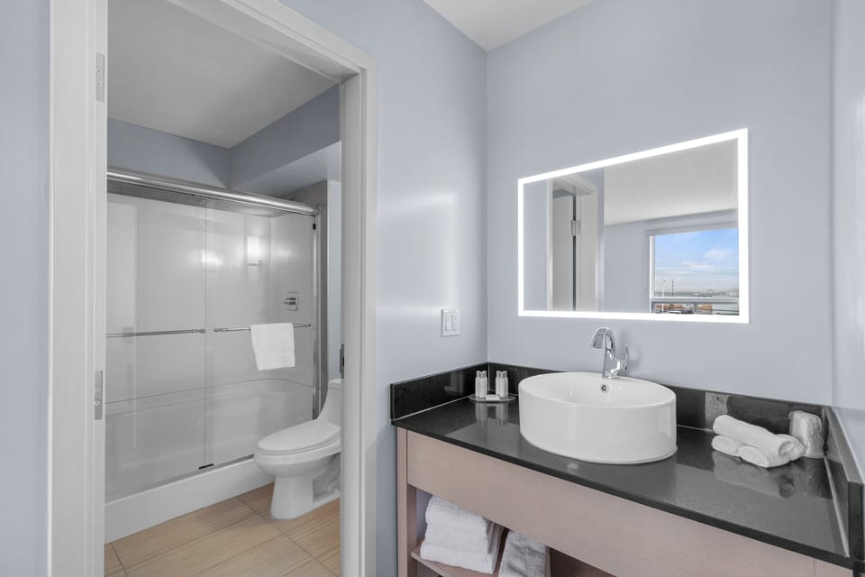 Eco-friendly toiletries, hair dryer, towels